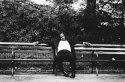 Park Bench Central Park NYC