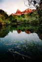 Zion Reflections