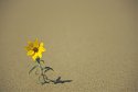 All Alone