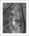 Ramapo Stream