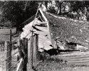 broken down barn