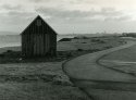 Old shack