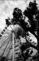 Giant wheel