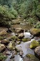 Mountain Creek
