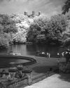 Central Park