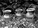Milk Cans