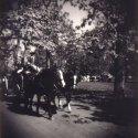 Horse and Carriage