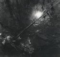 Reflections 1979