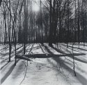 Snow Shadows, 1978