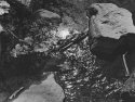 Reflection with rocks