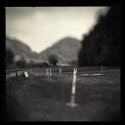 Hippodrome