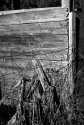 Old Playhouse