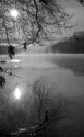 Misty River