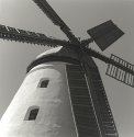 Windmill