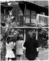 In Memoriam: 254 Turgeon St.