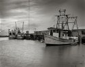 Bayou Bienvenue fleet