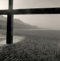 Fog