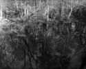 Pond at Sandy Bridge