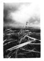 Storm
