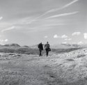 A walk on wonderful Whitbarrow