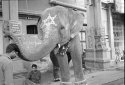 Elephant's Blessing