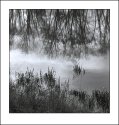 Pond at Kennridge Farm