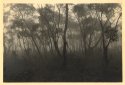 Narrow-neck Mist
