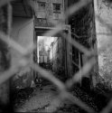 Behind the Fence