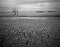 Salton SEA