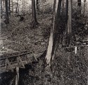 Old Customs Path