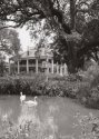 The Old South