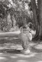 Urn