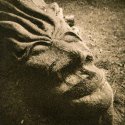 Tree carving