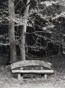 Bench, Fall