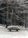 Bench, Winter