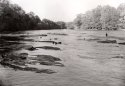 Morning at the Chattahoochee