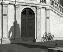 Pisa #1