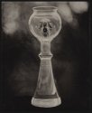 From the Cabinet of Curiosities