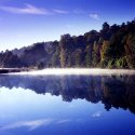 Autumn: Winkworth 1