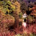 Autumn: Winkworth 2