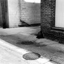 Alley