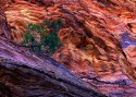 A Secret Place in Zion