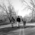 The Walk