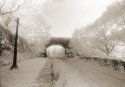 Cynonvelle Halt railway station