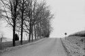 Late Fall 2006 in Columbia County, NY - !