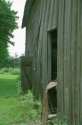Old Barn in Springtime - I