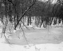 Pool @ winter #2