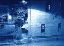 Bisbee nights