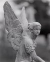 Mt. Auburn Cemetary