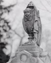 Mt. Auburn Cemetary